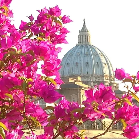 Hotel Dei Consoli Vaticano-3