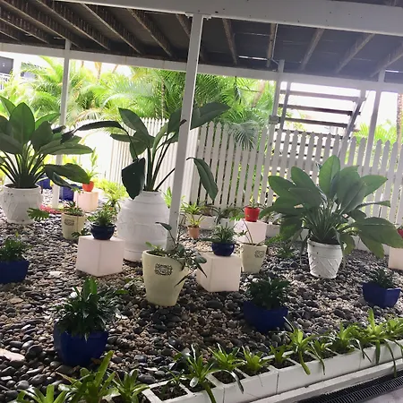 South Cairns Resort-2