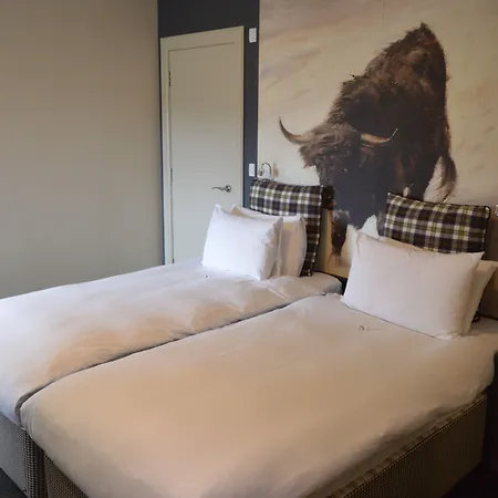 B+B Edinburgh-3