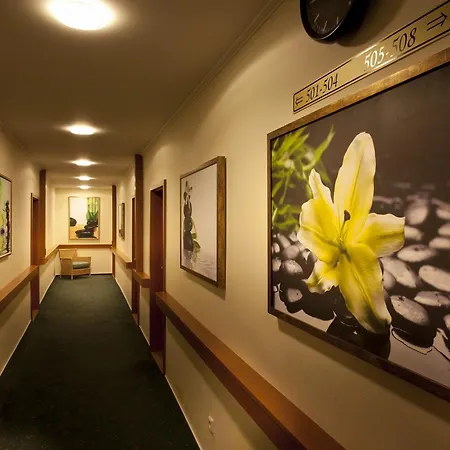 Green Garden Hotel-2