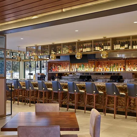 Limelight Hotel Aspen-3