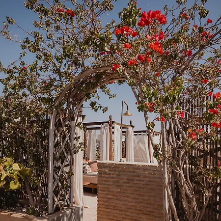 Riad Le Rihani-2