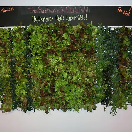 The Birchwood-2