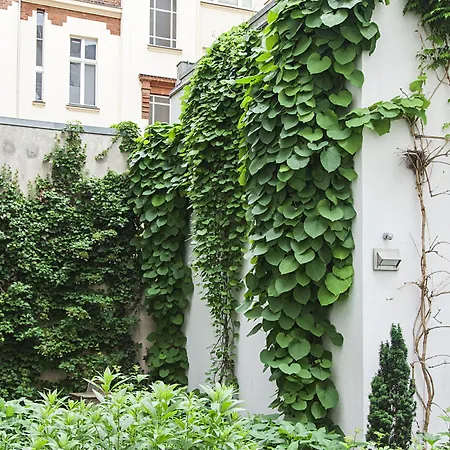 Quentin Design Hotel Berlin-3