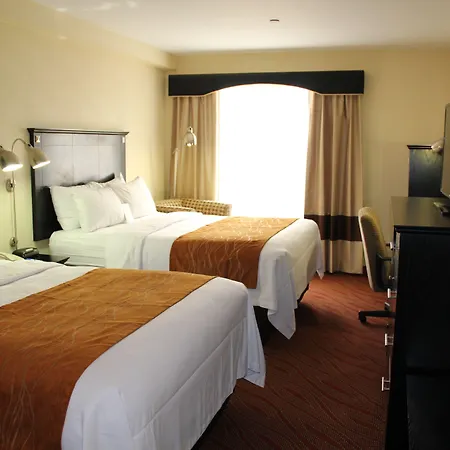 Comfort Inn & Suites Laguardia Airport-3