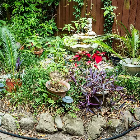 Amethyst Garden-3