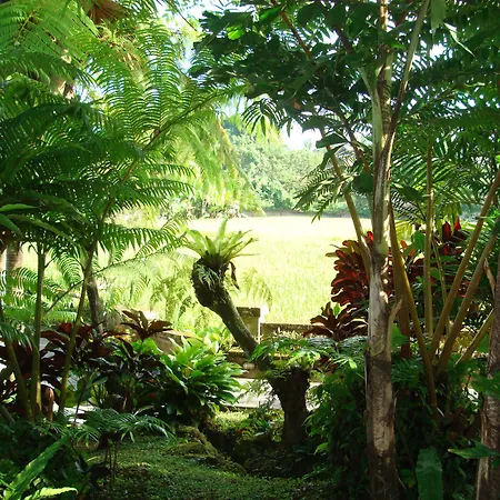 Anini Raka Ubud-2