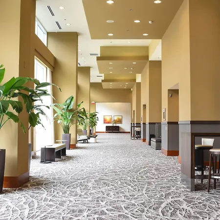 Raleigh Marriott City Center-2
