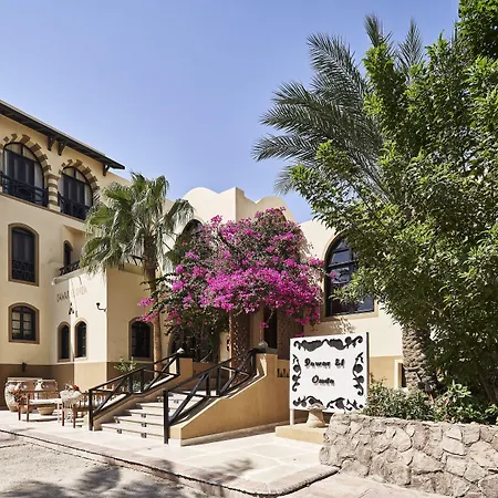 Dawar El Omda (Adults Only)-2