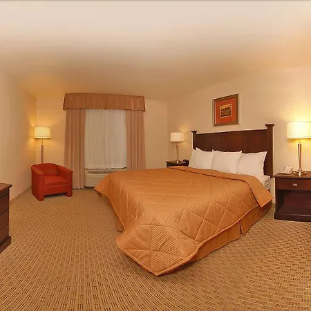 Comfort Inn & Suites Henderson - Las Vegas-3