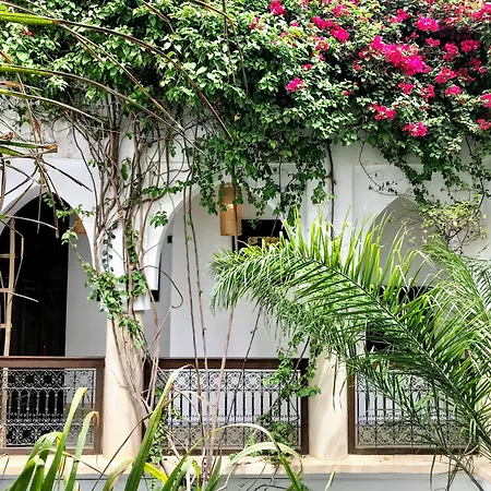Riad Dar Zaman-3