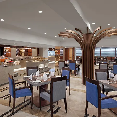 Surestay Plus Hotel By Best Western Indore-2