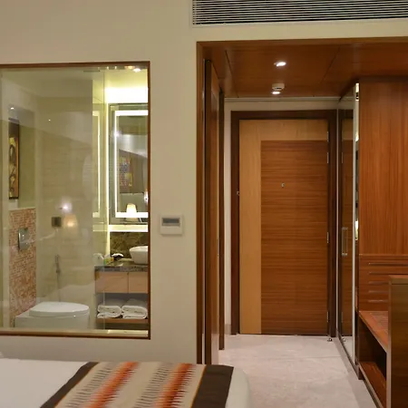 Surestay Plus Hotel By Best Western Indore-3