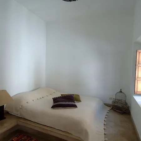 Riad Up-3