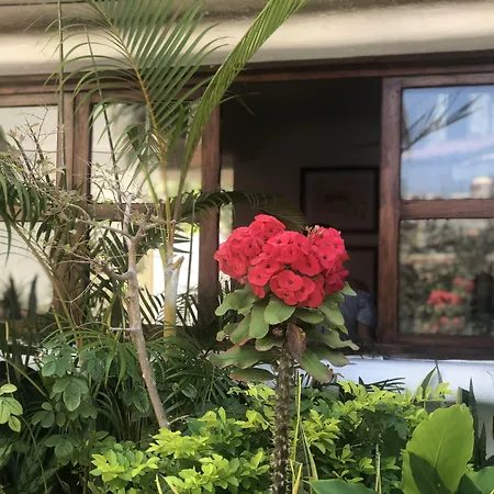 Hotel Amaca Puerto Vallarta - Adults Only-3