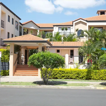 Chevron Palms-2