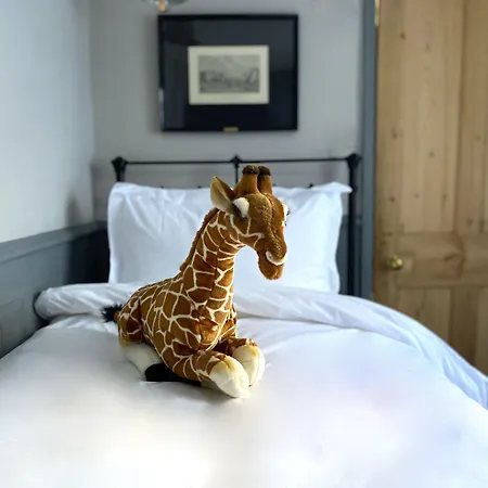 27 Brighton Guesthouse-2