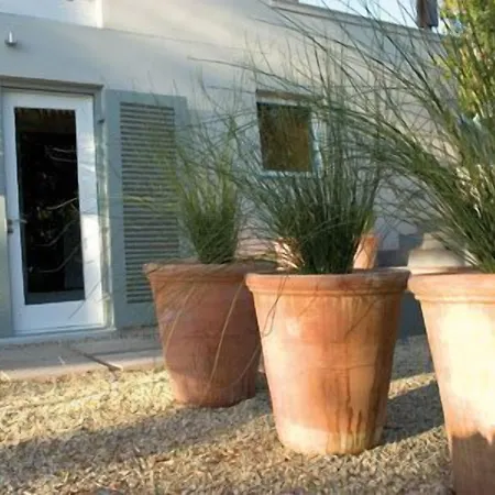 Four Rosmead Boutique Guesthouse-2