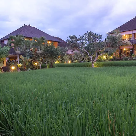Bliss Ubud Spa Resort-3