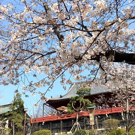 Art Hotel Nippori Lungwood-3