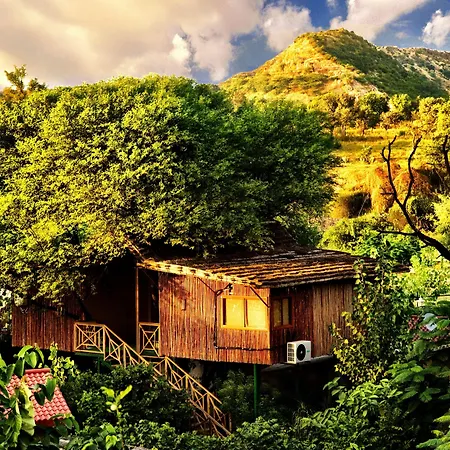 The Tree House Resort, Jaipur- A Club Mahindra Associate-2
