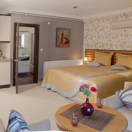 The Bosphorus House-3