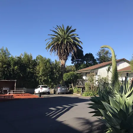 Siesta Motel-3