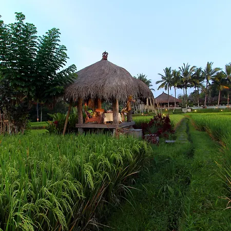Mathis Retreat Ubud-3
