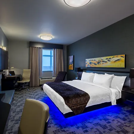 Hotel Clique Calgary Airport-3