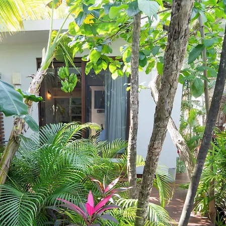 Lula Tulum, A Small Luxury Hotel-3