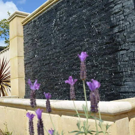 Ellard Bed & Breakfast-3