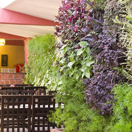 Club Mahindra Saj Mahabaleshwar-2
