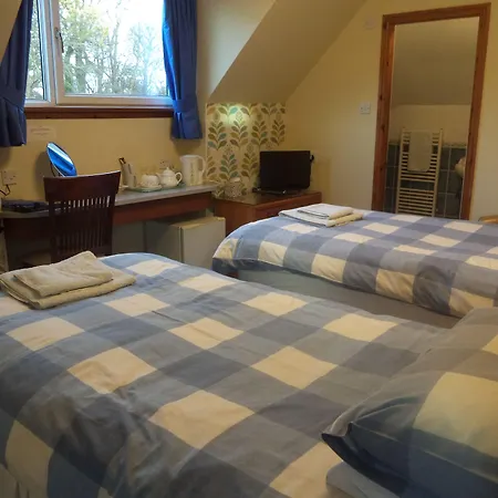 Acer Lodge Guest House-2