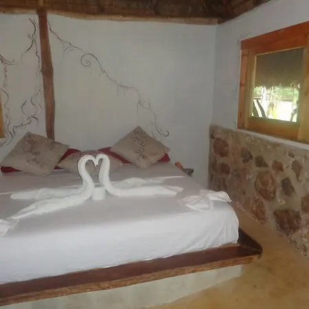 Casa Mango-2