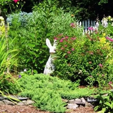 A Breath Of Heaven B&B-2