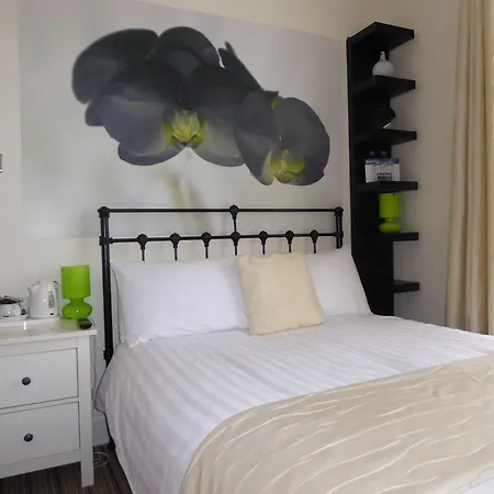 Bamboo Guesthouse-3