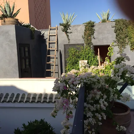 Riad Safa-2