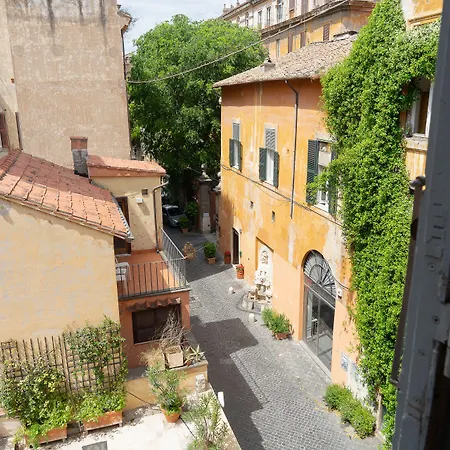 Babuino 79-2