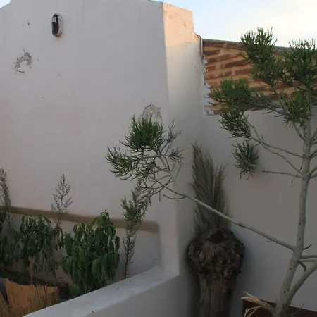 Riad El Walida-3
