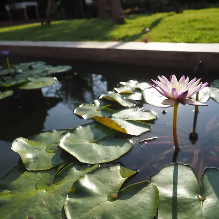 Amatalannavillage Chiangmai-3