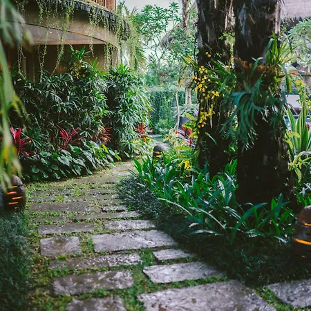 Honai Resort-2
