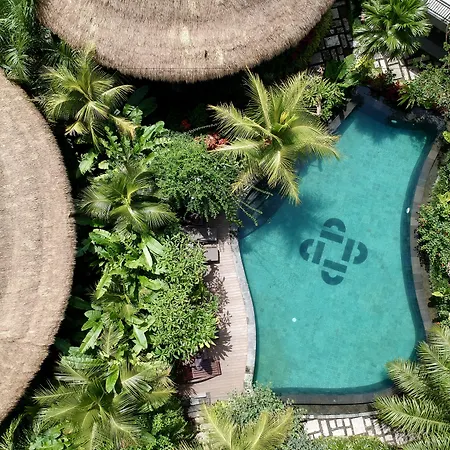 Honai Resort-2