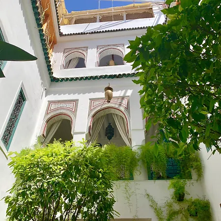 Riad 11 Zitoune-2