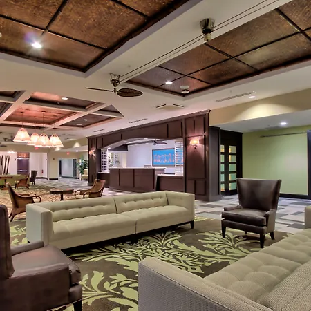 Edge Hotel Clearwater Beach-2