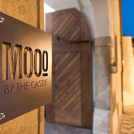 Mooo By The Castle-2