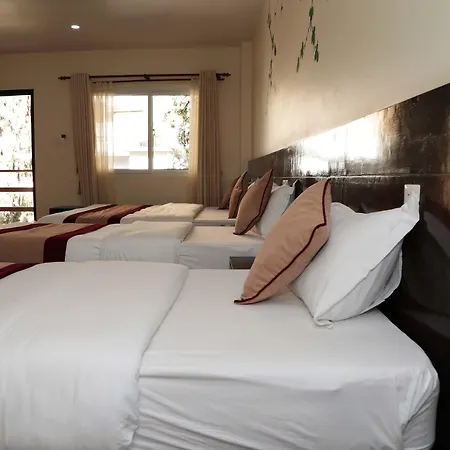Hotel Thamel Park-3