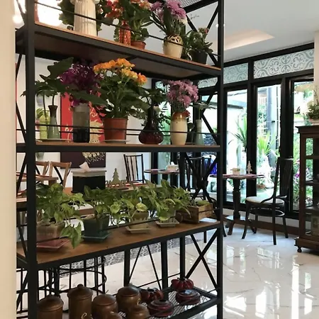 Villa Thai Orchid (Adults Only)-3