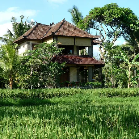 Alam Shanti Ubud-2