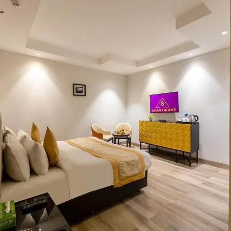 Okas Grand Luxury Collection Hotel Near Crowne Plaza New Delhi Okhla By Ihg-2