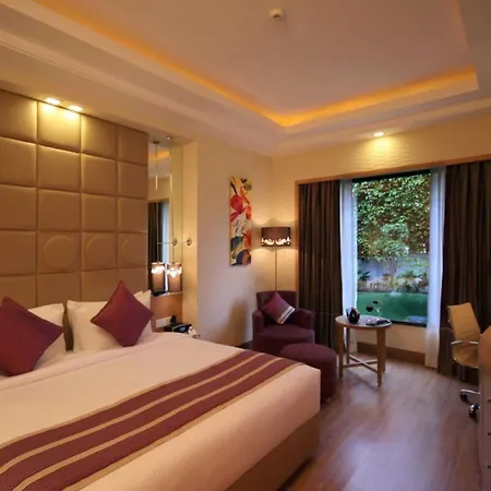 The Ocean Pearl Gardenia-3
